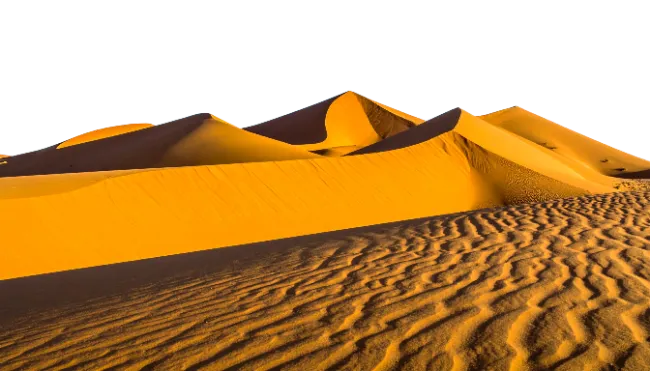Golden Desert Sand Dunes and Ripples
