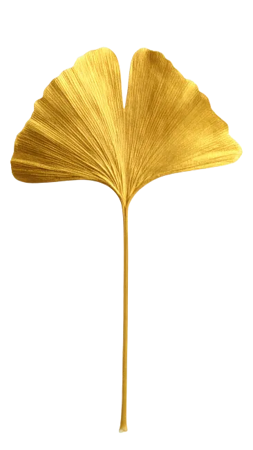 Golden Ginkgo Biloba Leaf