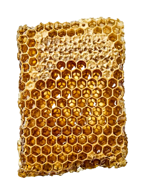 Golden Honeycomb Slice with Hexagonal Cells