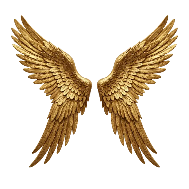 Golden Wings Illustration