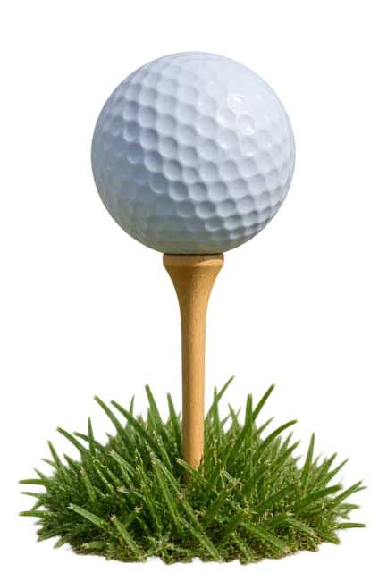 Golf ball on wooden tee in grass