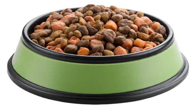 Green Dog Bowl Filled with Dry Kibble Food