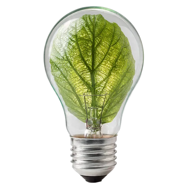 Green Leaf Inside Light Bulb