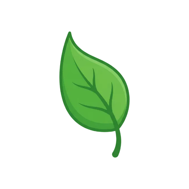 Green leaf vector illustration