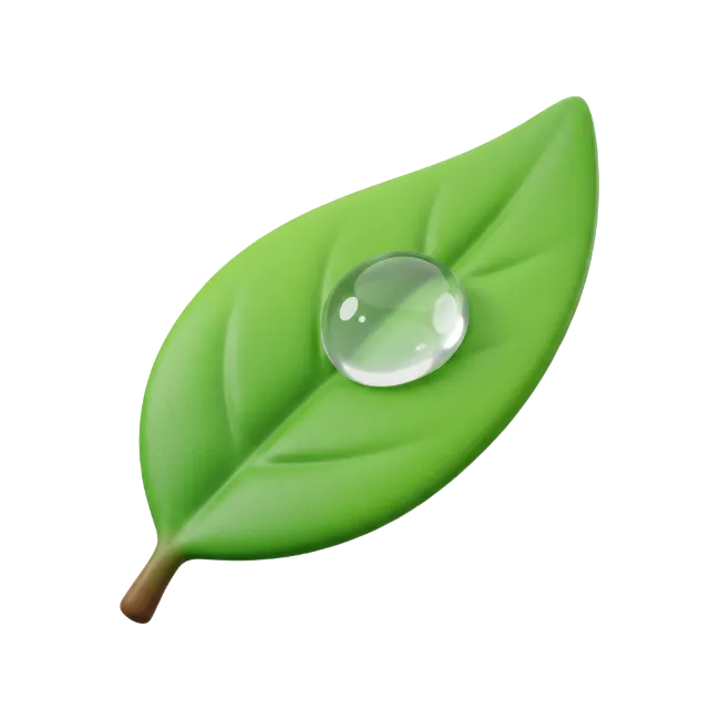 Green Leaf with Water Droplet