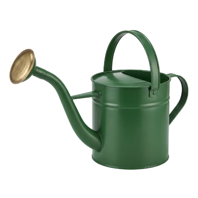 Green Metal Gardening Watering Can