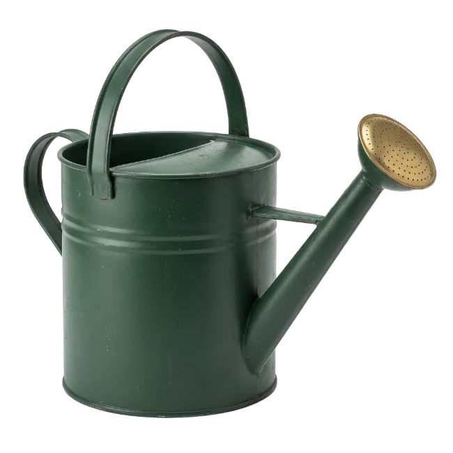 Green Metal Watering Can