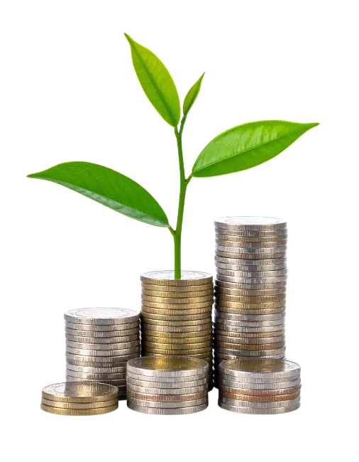 Green Plant Growing From Stacks Of Coins