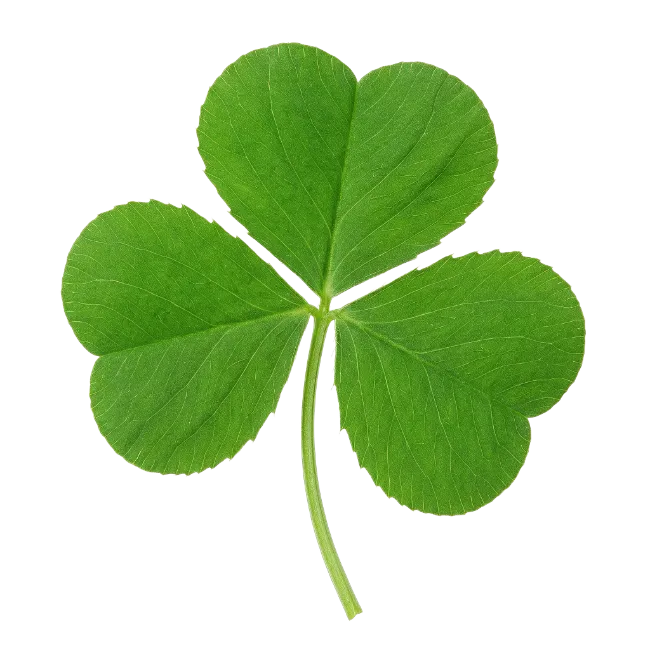 Green Shamrock Leaf on Transparent Background
