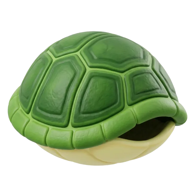 Green Turtle Shell