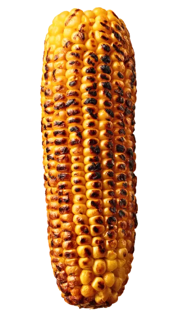 Grilled Corn on the Cob