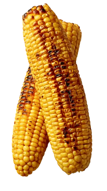 Grilled Corn on the Cob