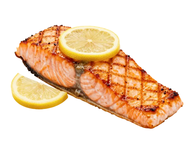 Grilled Salmon Fillet with Lemon Slices