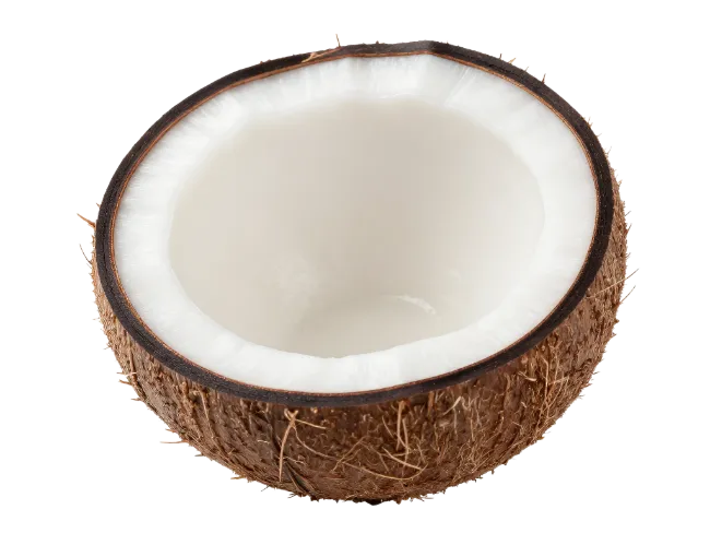 Half Fresh Coconut Isolated