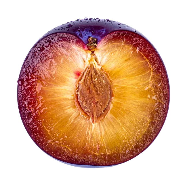 Half Plum Fruit with Pit