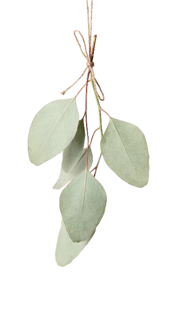 Hanging Eucalyptus Sprig Bunch