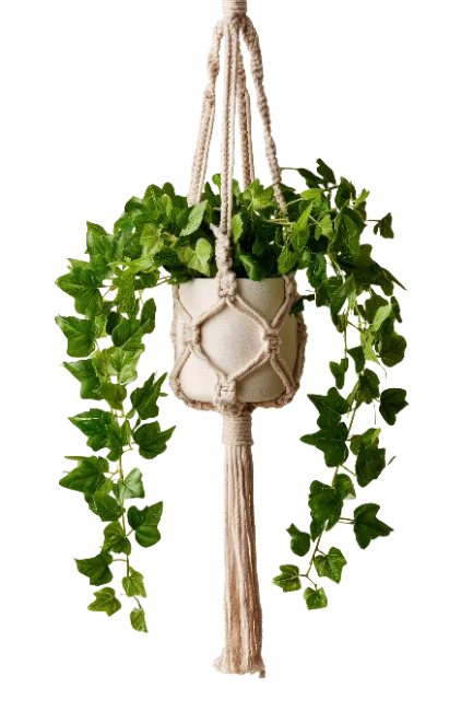 Hanging Planter with Green Ivy