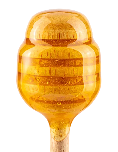 Honey Dipper Coated with Fresh Golden Honey