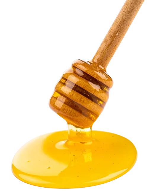 Honey Drizzler Dripping Golden Liquid