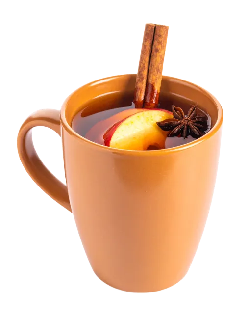 Hot Cider Mug with Cinnamon and Apple