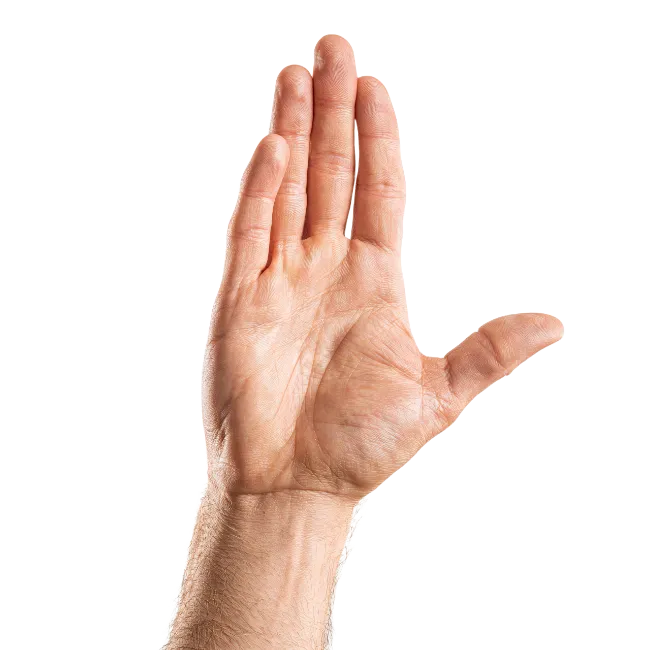 Human Hand Showing Open Palm Gesture