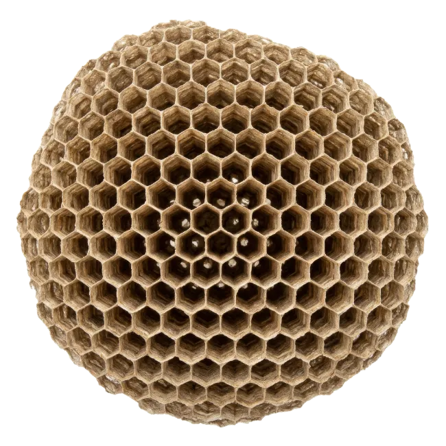 Intricate Round Wasp Nest Honeycomb Structure