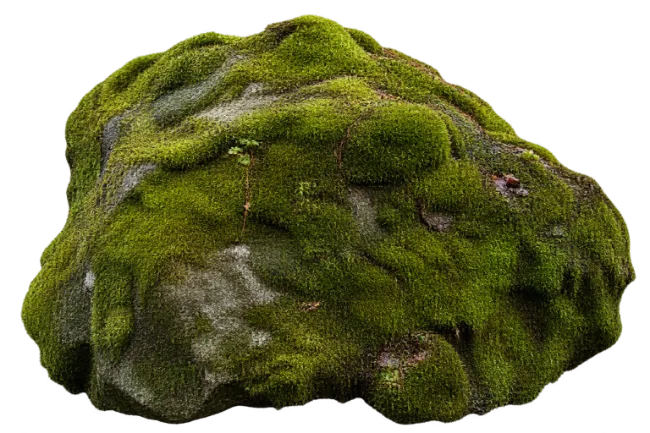 Large Natural Boulder Covered in Green Moss