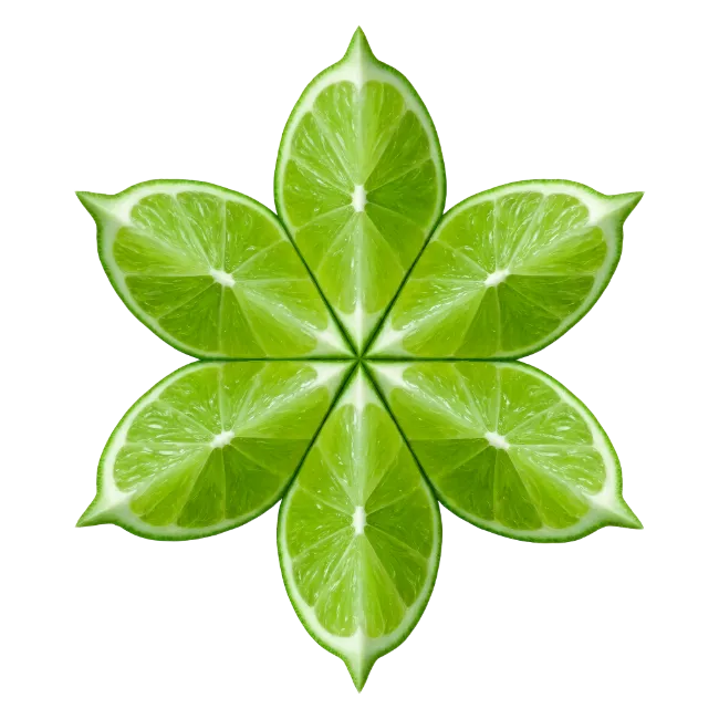 Lime Slices Geometric Floral Pattern