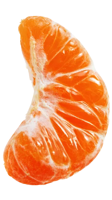 Mandarin Orange Slice Segment