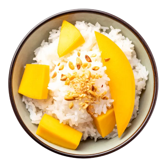 Mango Sticky Rice Bowl