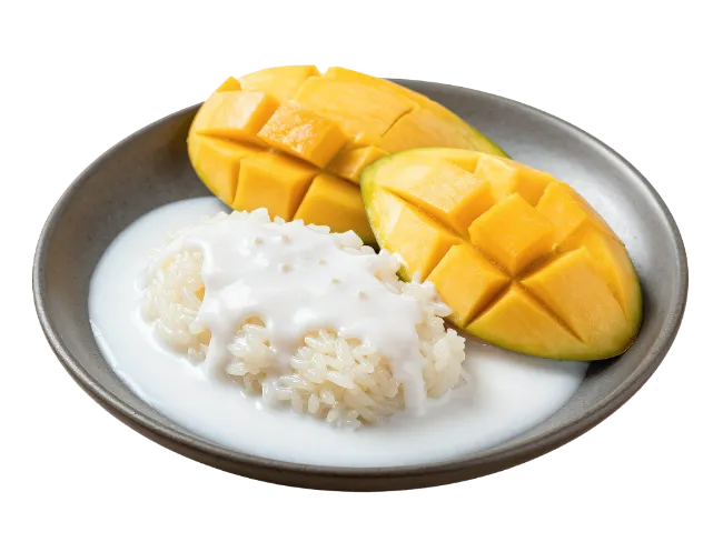 Mango Sticky Rice with Coconut Milk on Plate