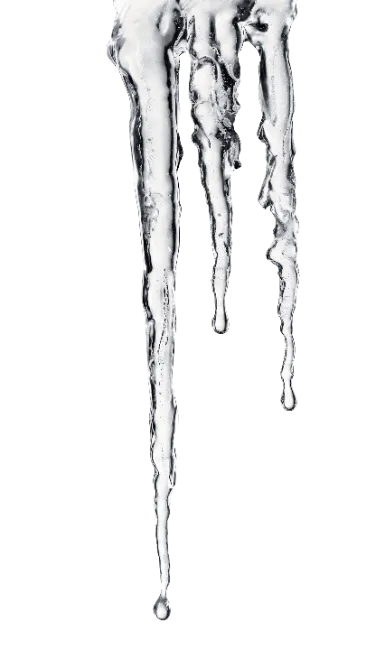 Melting Icicles Isolated on Dark Background