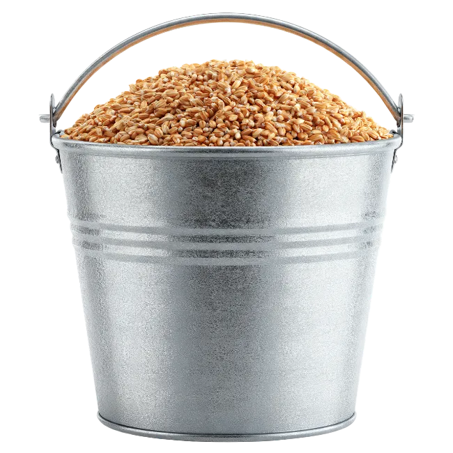 Metal Bucket Filled With Wheat Grains