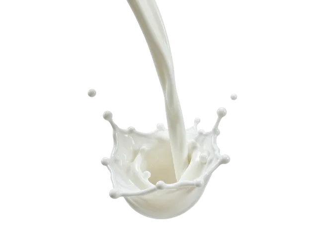 Milk Pouring and Splashing