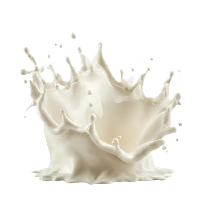Milk Splash Isolated