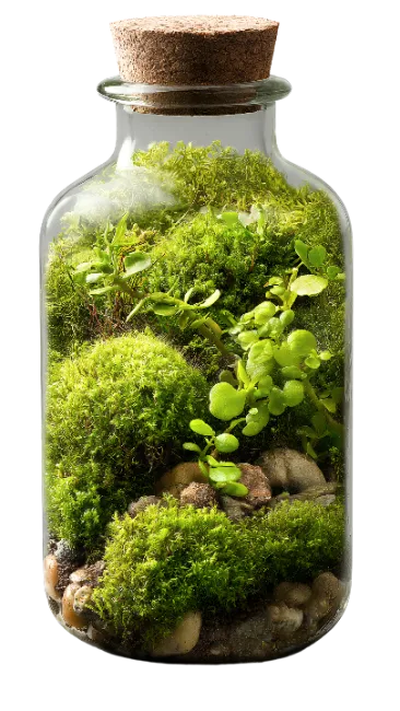 Miniature Glass Bottle Terrarium with Live Green Moss