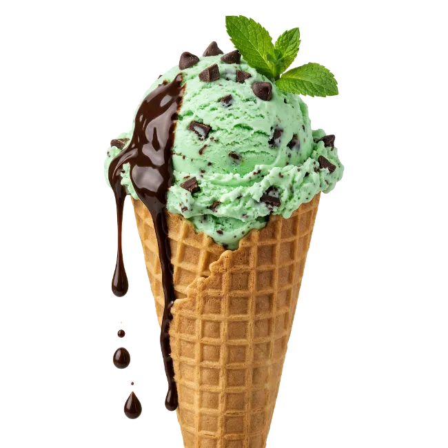 Mint Chocolate Chip Ice Cream Cone