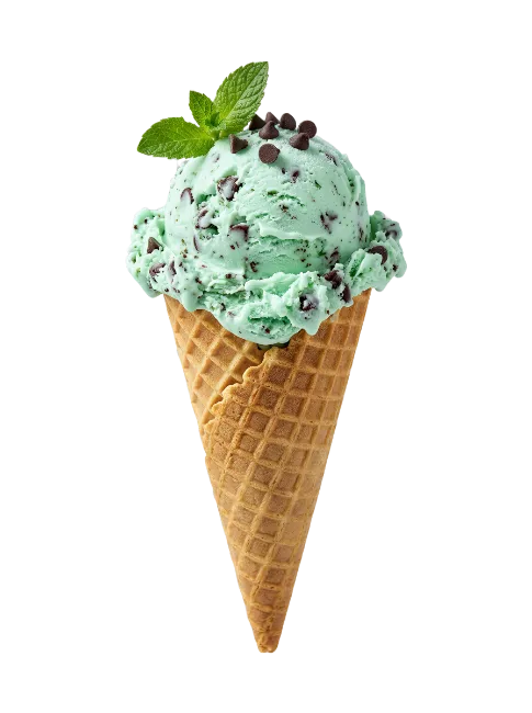 Mint Chocolate Chip Ice Cream Cone