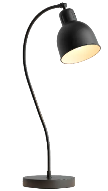 Modern Black Desk Lamp with Curved Gooseneck