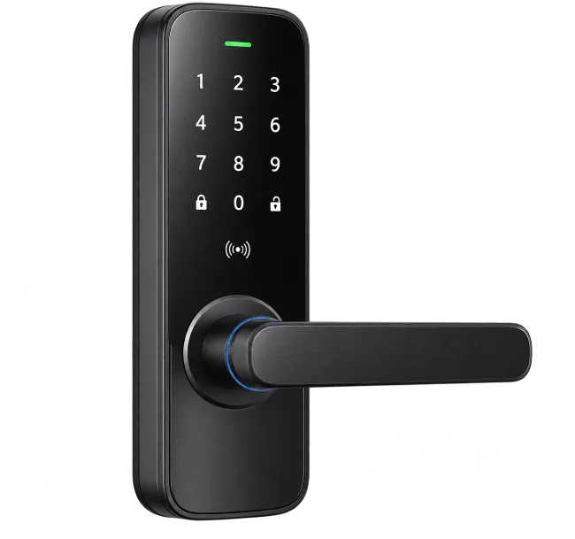 Modern Black Electronic Smart Door Lock with Keypad