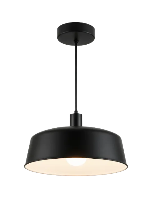 Modern black pendant ceiling lamp