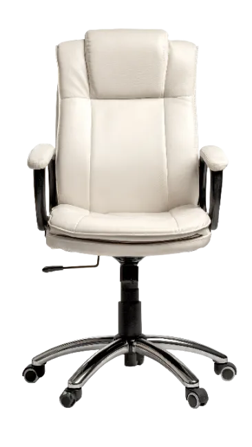 Modern Executive Office Chair