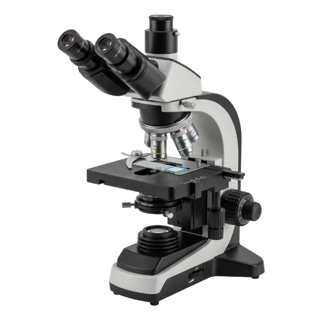 Modern Laboratory Compound Microscope