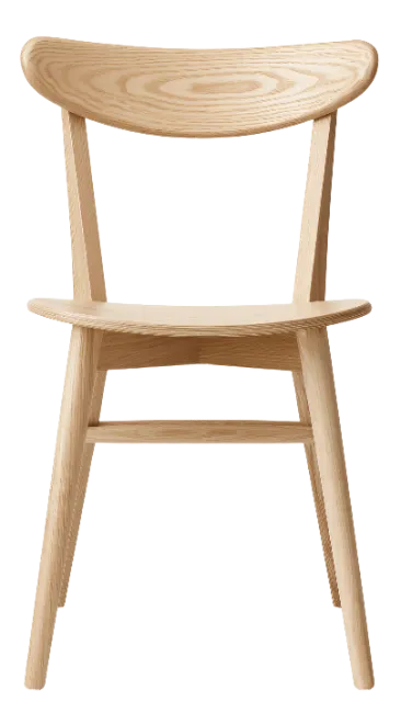 Modern Wooden Dining Chair