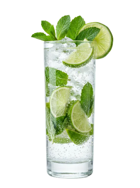Mojito Cocktail with Lime and Mint