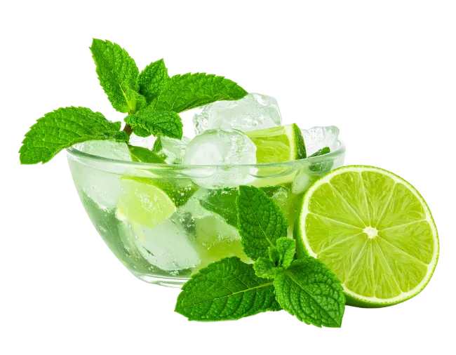 Mojito Cocktail With Lime and Mint