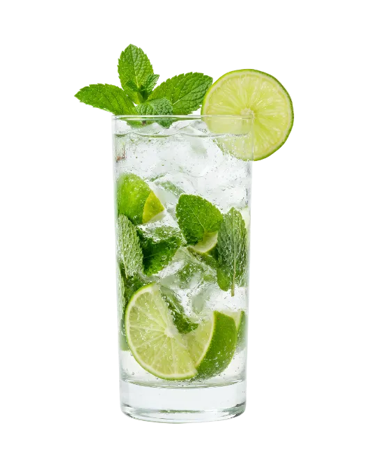 Mojito Cocktail with Lime and Mint