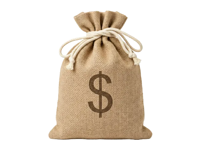 Money Bag with Dollar Sign