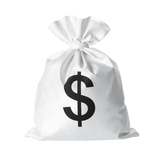 Money Bag with Dollar Sign Symbol