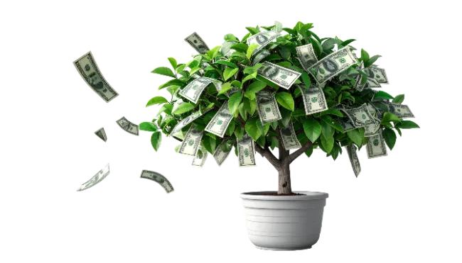 Money tree in a pot with falling banknotes